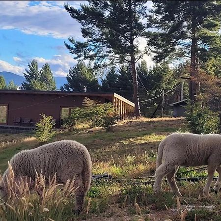 شقة Turismo Y Cabanas Dragon De La Patagonia كوكرين المظهر الخارجي الصورة