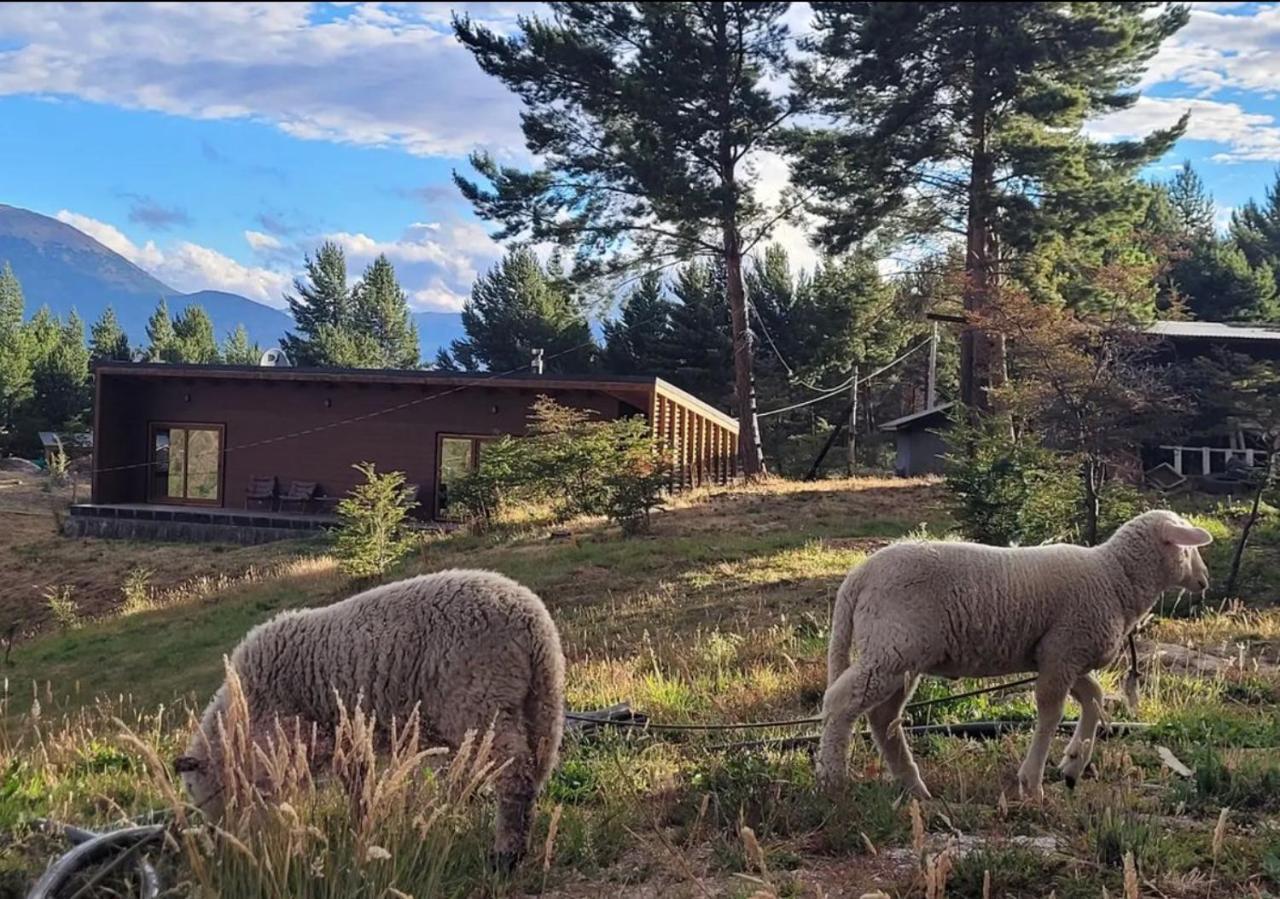 شقة Turismo Y Cabanas Dragon De La Patagonia كوكرين المظهر الخارجي الصورة