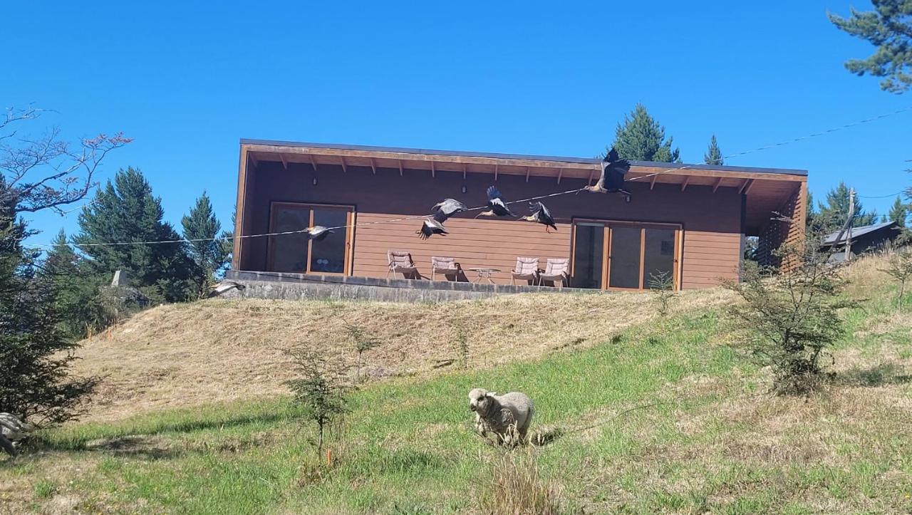 شقة Turismo Y Cabanas Dragon De La Patagonia كوكرين المظهر الخارجي الصورة